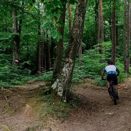 Thermale Unterlamm (Styria)